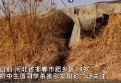 邯郸被害男孩父亲怀疑“杀人埋尸”案有帮凶