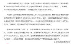 泽连斯基公布自己与家人2023年收入 不如演员工资