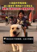 小孩界的劳斯莱斯出现了，网友们羡慕了