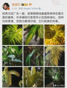 张颂文暗示小米送他一台SU7，雷军：已安排，4月3日交车