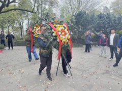 【缅怀祭英烈 丰碑砺前行】南苑街道退役军人服务站开展清明祭英烈活动