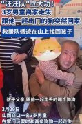 狗狗是人类最忠诚的朋友 3岁男童走失狗狗在山上陪了一夜