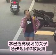 台媒：花莲大楼倒塌，女住户折返救猫不幸遇难