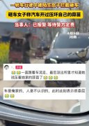 河南一大妈拦停奔驰车后用石头猛砸，称对方压到了自家几棵蒜苗