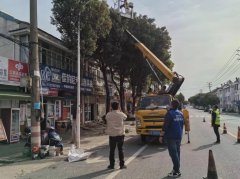 ​柘塘街道：网格为民办实事 修剪树枝除隐患