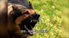杭州确诊一例狂犬病死亡几年前被狗咬