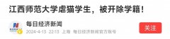 后续:江西师范大学虐猫学生，被开除学籍！被开除原因另有隐情