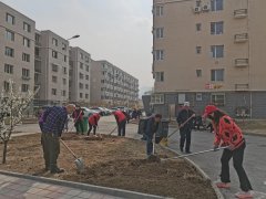 志愿服务 | 营子区铁北路街道东风社区开展小区环境整治志愿服务活动
