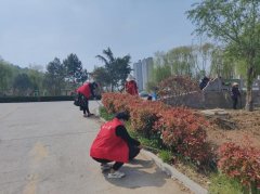 【岱岳党旗红】天平街道九女山社区组织开展环境卫生清理志愿服务活动