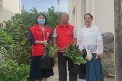 温泉街道：党员中心户让社区治理服务更有温度