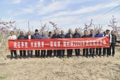 固城镇、姚村镇社区教育学校开展“桃花争艳 书画飘香”桃花笔会活动