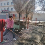 甘家湖社区石榴籽服务站：开展“爱绿、护绿、共建绿色家园”活动