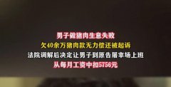 男子做猪肉生意失败欠40万失业了债主让其上班用工资抵债 奇怪的知识增加了