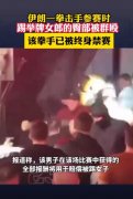俄罗斯一拳赛现场 拳手脚踢举牌女郎臀部 被观众冲上拳台群殴