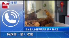 人参泡酒15年后竟“复活”，长了一个小绿包，一天天不断变大