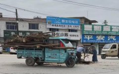 东关社区：小城大爱，做好社区守护者
