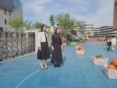 【茁悦·临幼】顶山街道临江幼儿园迎接市优创建帮扶工作
