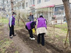 基层巾帼动态 | 九龙街道迎月社区妇联开展“种花种草添新绿”巾帼志愿服务活