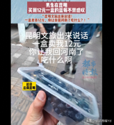 昆明蓝莓12元1盒震撼外地游客：价格太便宜
