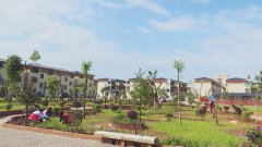 雄州街道：加快构建长效管护机制 切实提高村庄绿化美化管护水平