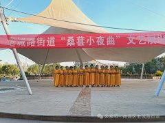 老城路街道“桑葚小夜曲”文艺演出精彩纷呈