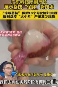 广东300吨冻眠10个月荔枝解冻上市。口感依然鲜美