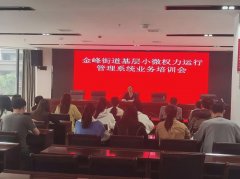 金峰街道开展基层小微权力运行管理系统业务培训