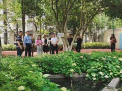 基层动态丨【常青街道】“两代表一委员”进校园 携手共谋促发展