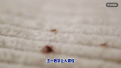 浙江省台州市曾奶奶高烧老人家中找出近200只蜱虫 