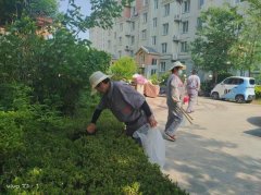 【环境整治】西白羊埠社区开展环境卫生整治行动