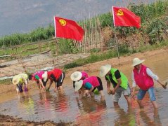 六甲街道福保社区：把主题党日活动“开”到田间地头