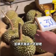 博主B太溯源泰国榴莲原产地 揭秘100元3个榴莲内幕