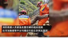 吞食山羊的80斤巨蟒已被收容 属于国家二级野生保护动物