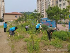 新民街道新惠社区：党建引领齐动员 清洁家园共参与