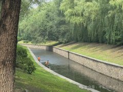 【社区动态】防汛责任不松懈 撑好安全“防护伞”——平乐园西社区防汛行动