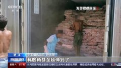 2500余吨走私冻品流向百姓餐桌路上 警方出手了