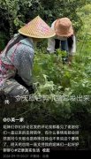 百万粉丝网红“小英”被曝疑曾送走两个女孩？当地妇联最新回应