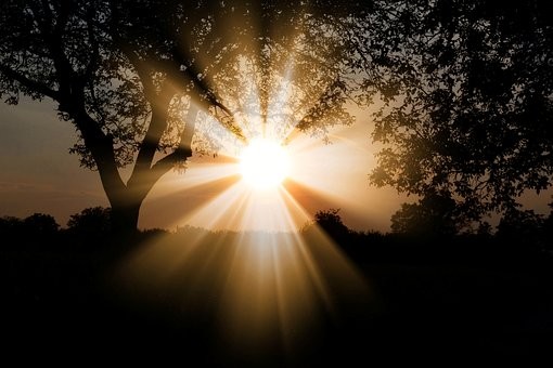 办理调动通知(毕业生介绍信)遗失证明须知 办理调动通知(毕业生介绍信)遗失证明须知