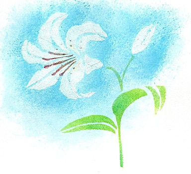 百万葵园炫丽樱花迎三八