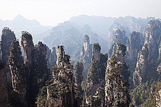 深圳做地铁麻烦 现地铁乘车码可直接跳转健康码