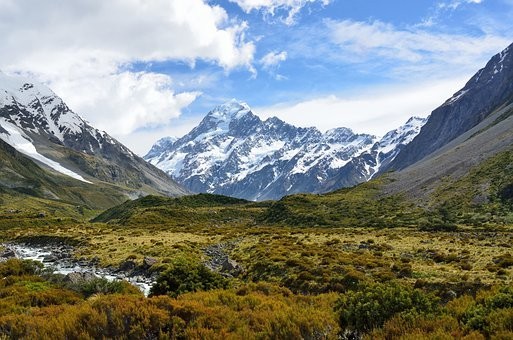深圳在职人才引进入户申报操作流程详解2023