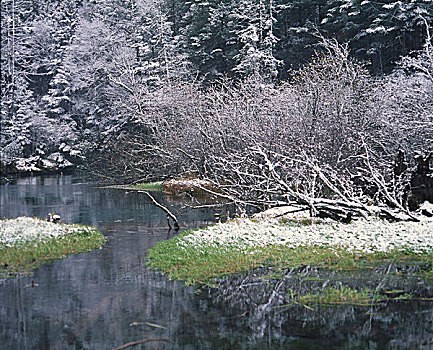 2016惠州龙门牡丹文化节时间、地点及活动看点