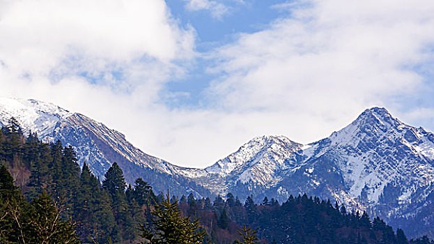 2021年南山区公租房补租申报材料