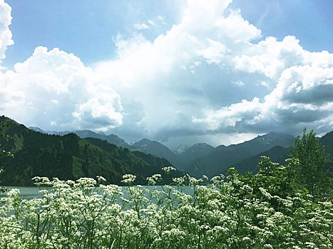 深圳车牌竞价程序是怎样的