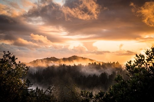 深圳市坪山区卫生健康局招聘坪山区中心医院筹备组组成人员