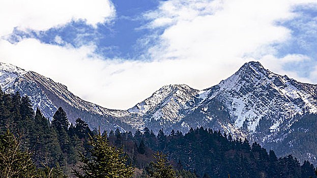 在南山上班的能申请南山补租吗2022