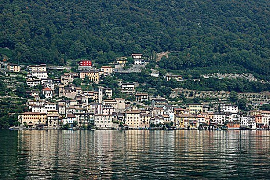 盘点深圳好玩的六大本地公园