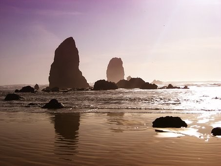 2022年南山区企业人才租赁社会存量住房补租排位规则