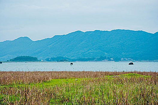 深圳天屿花园安居房选房注意事项
