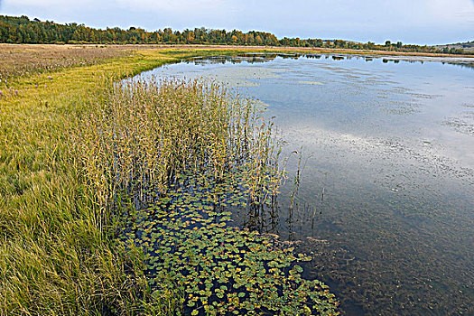 9月去哪赏花 广东六大赏花圣地不容错过